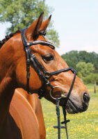Valluhn bridle black/silver Mexican FULL
