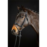 Trense Luhm&uuml;hlen schwarz/silber dunkle Kristalle PONY