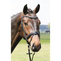 Trense Luhm&uuml;hlen schwarz/silber dunkle Kristalle PONY