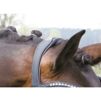 Trense Luhmühlen schwarz/silber dunkle Kristalle COB