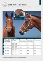 Trense Calgary hannoversches Reithalfter braun/silber PONY