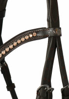 Kandare Mechtersen braun/silber FULL