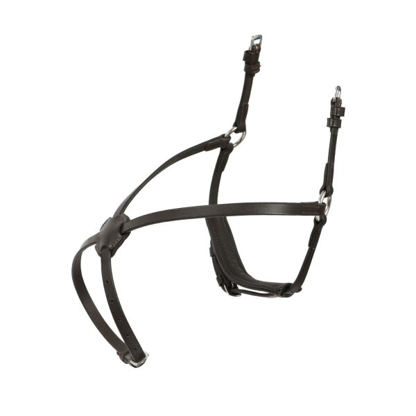 Reithalfter mexikanisch braun/silber PONY