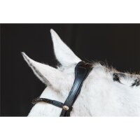 Genickstück Premium schwarz PONY