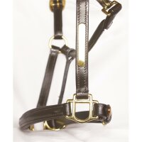 Sahrendorf halter brown/brass FOAL