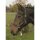 Sahrendorf halter brown/brass FOAL