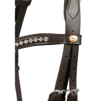 Trense Calgary mexikanisches Reithalfter braun/silber PONY