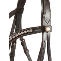 Trense Calgary englisches Reithalfter braun/silber LACK FULL