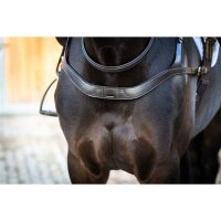 Vorderzeug Balve braun/messing Warmblut